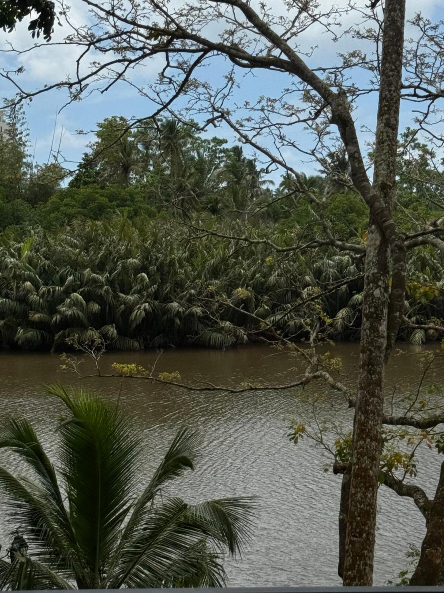 Sapiens Home - Weligama Bay 외부 사진